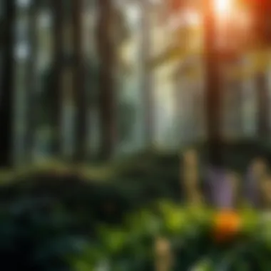 Diversity in Forest Ecosystems A vibrant forest ecosystem showcasing diverse plant and animal life.