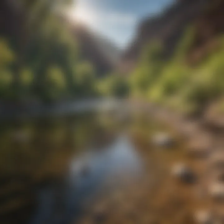 A scenic overview of a Utah river teeming with trout