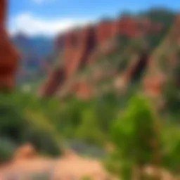 A breathtaking view of Verde Canyon showcasing its lush greenery and rocky formations