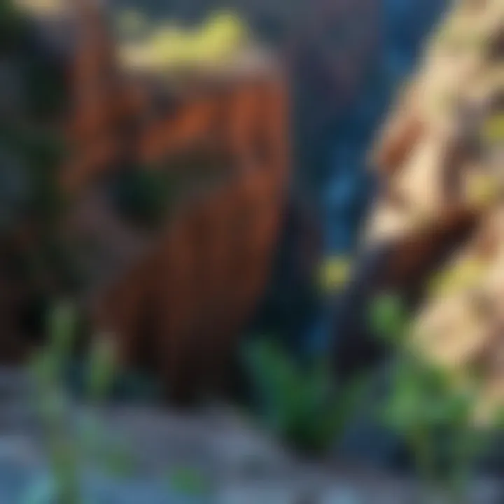 The diverse wildlife thriving in Verde Canyon, highlighting its ecological richness