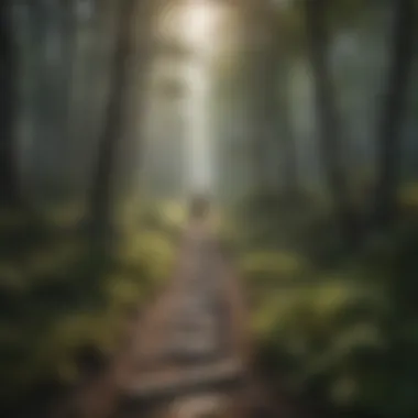 A hiker traversing a scenic trail in White Mountain National Park