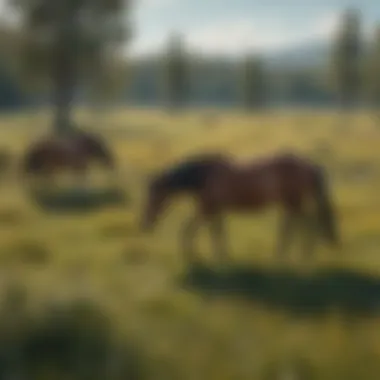 A group of wild horses grazing in a vibrant meadow