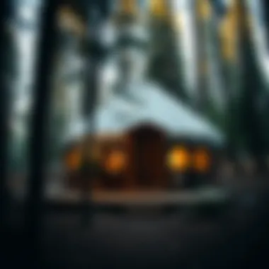 The Serenity of a Yurt in Nature Elegant yurt nestled in the forest
